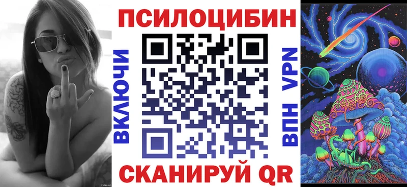 закладки  Азнакаево  Псилоцибиновые грибы GOLDEN TEACHER 